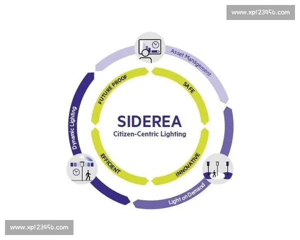 体育平台的可靠性分析如何选择安全可靠的体育娱乐平台
